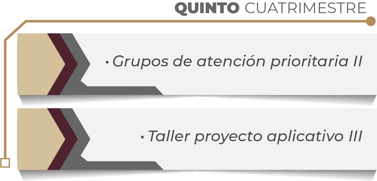 MAPA CURRICULAR GESTIÓN